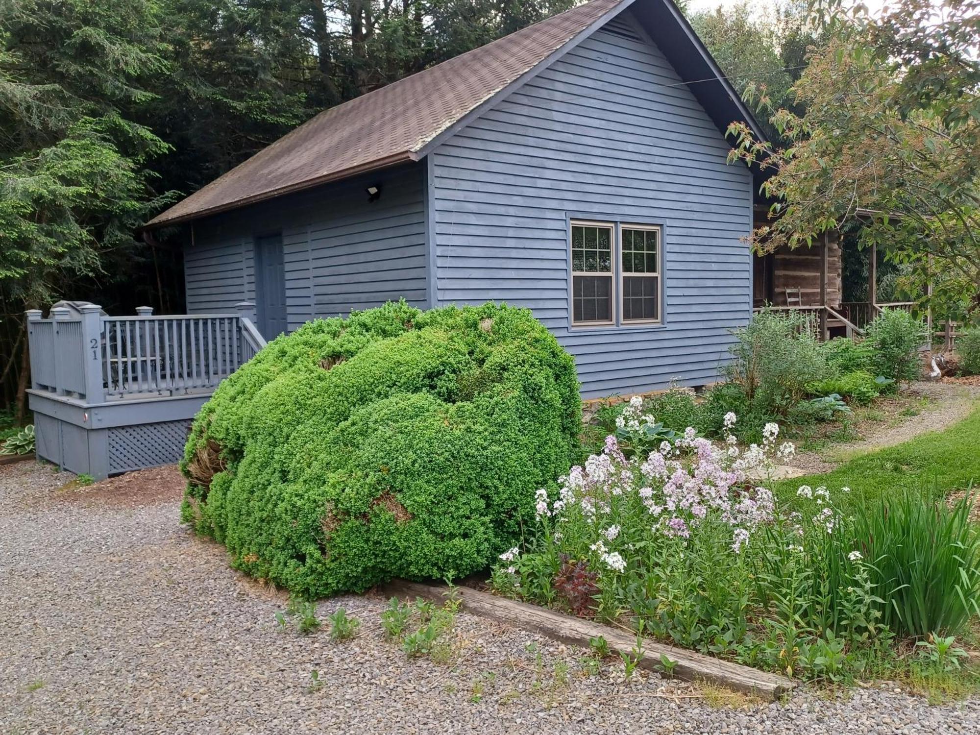 Restored1850S Log Cabin, With Gazebo And Gardens! 1 Mile To Downtown Weaverville Exterior photo