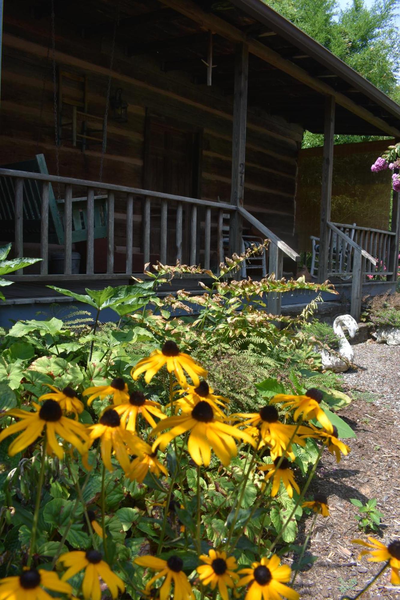 Restored1850S Log Cabin, With Gazebo And Gardens! 1 Mile To Downtown Weaverville Exterior photo