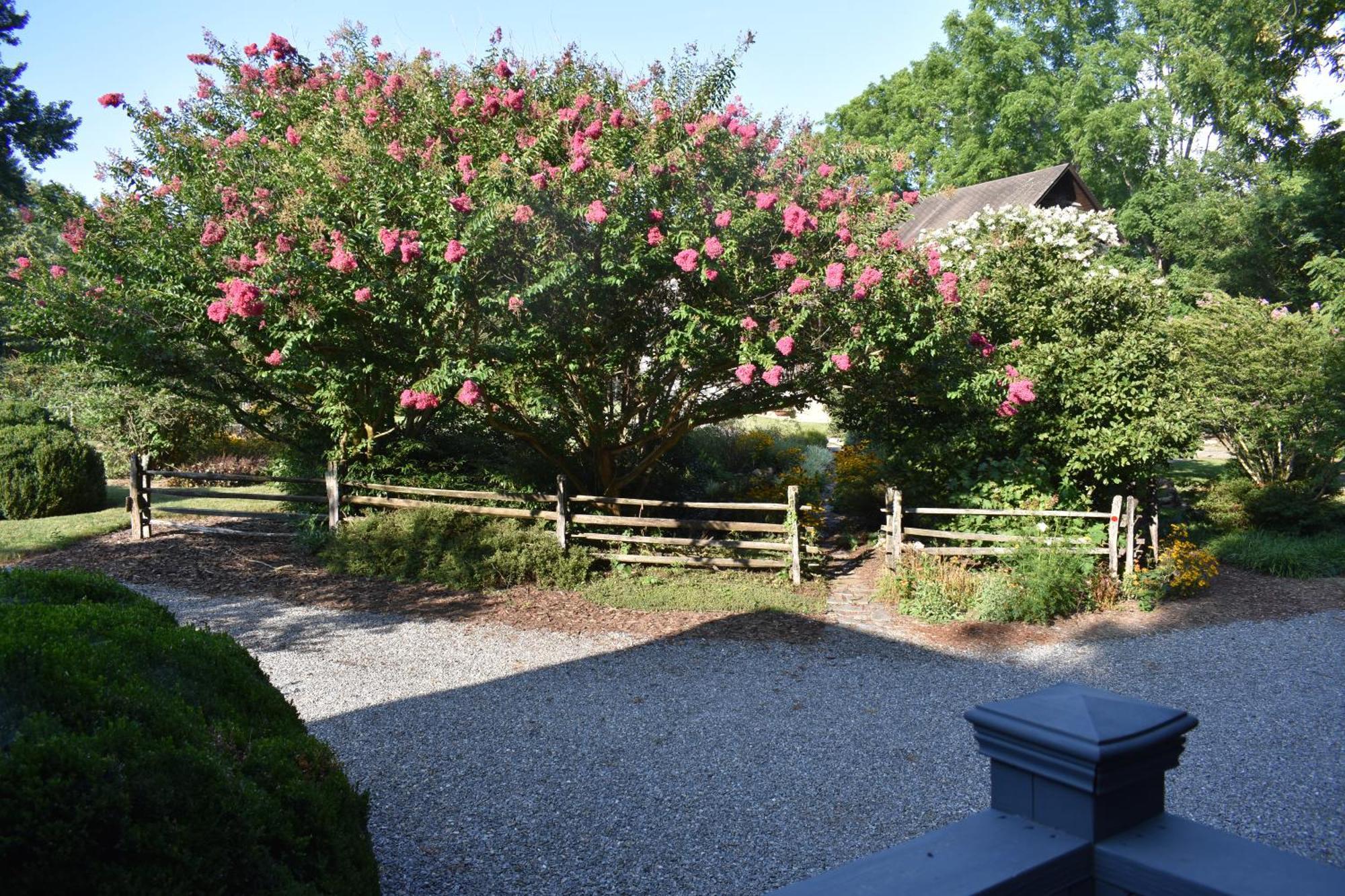Restored1850S Log Cabin, With Gazebo And Gardens! 1 Mile To Downtown Weaverville Exterior photo